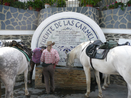 Malaga Trail Ride 